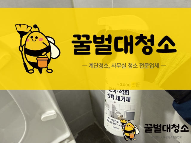화장실 타일 백시멘트 제거 청소 방법